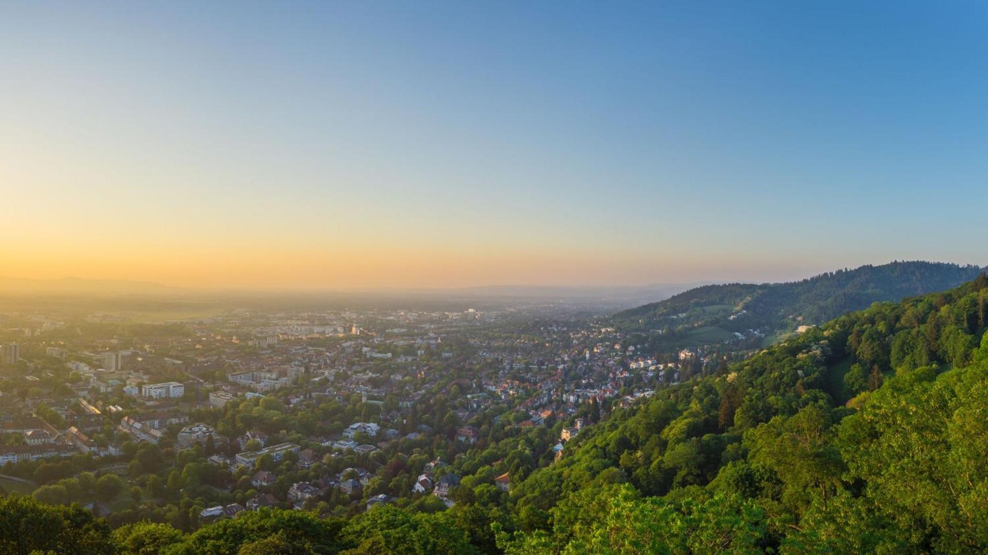 Ferienwohnung Muenster, Sehr Zentral فرايبورغ المظهر الخارجي الصورة