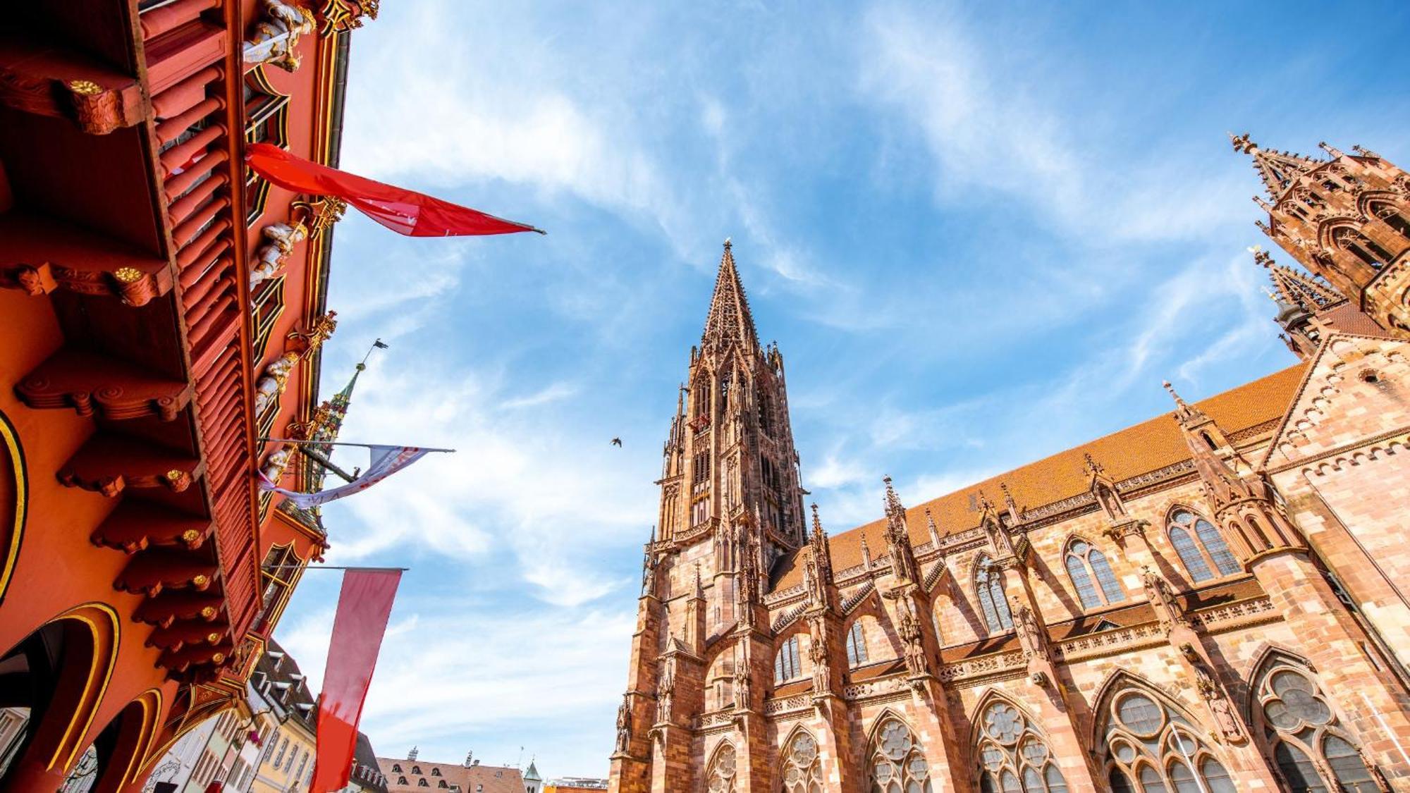 Ferienwohnung Muenster, Sehr Zentral فرايبورغ المظهر الخارجي الصورة
