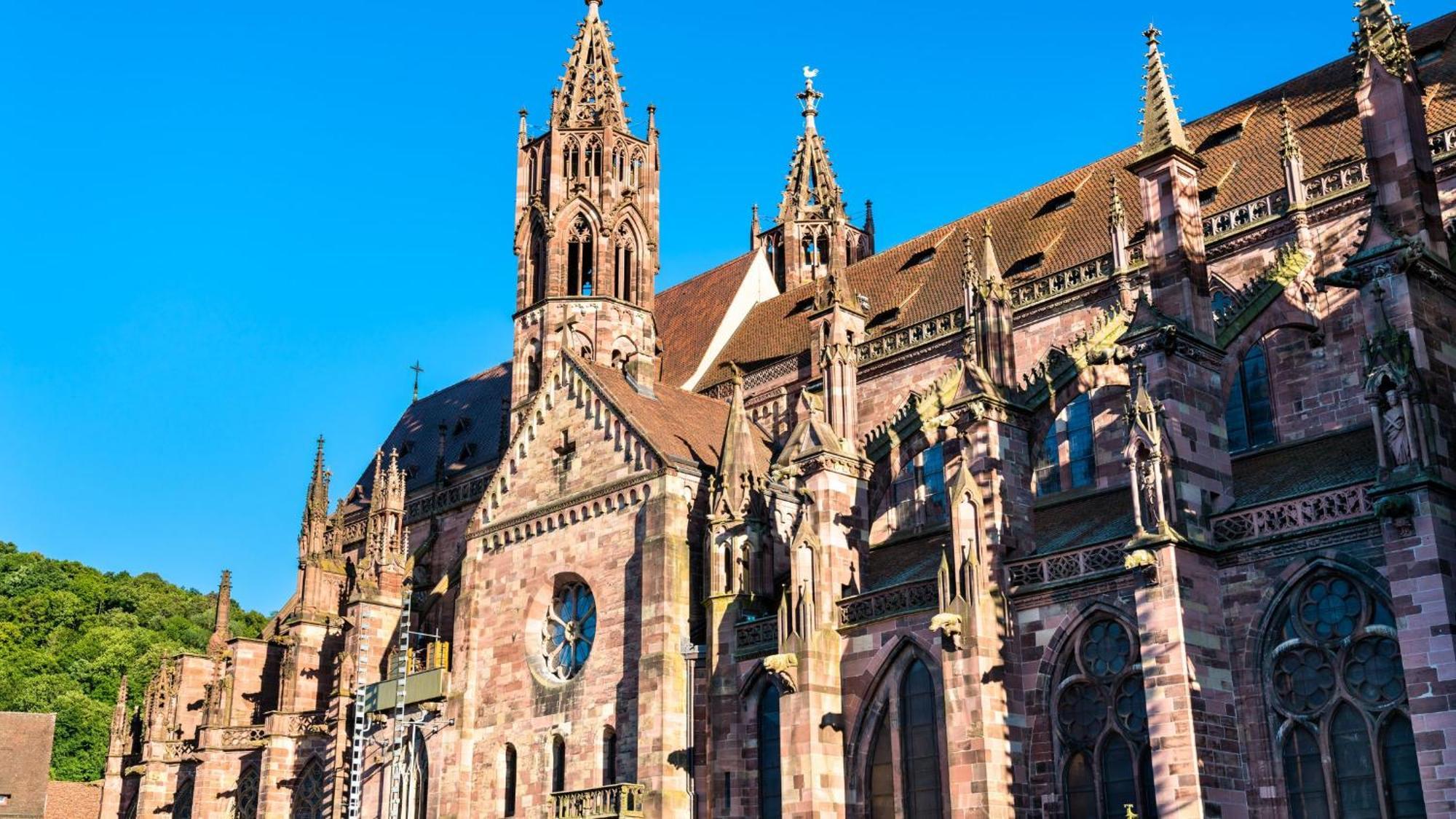 Ferienwohnung Muenster, Sehr Zentral فرايبورغ المظهر الخارجي الصورة